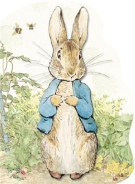 Peter Rabbit Party | Birthday Party Ideas for Kids